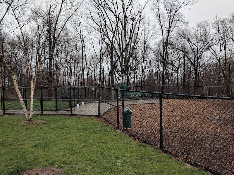 Community Field - Image 1