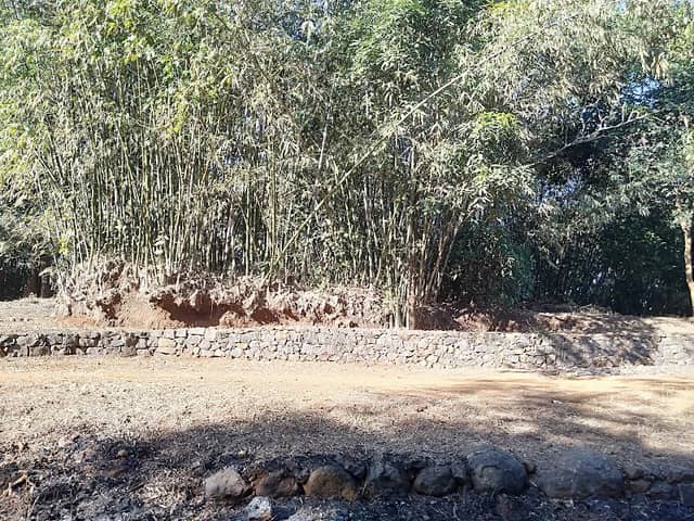 The Bamboo Setu - Image 1