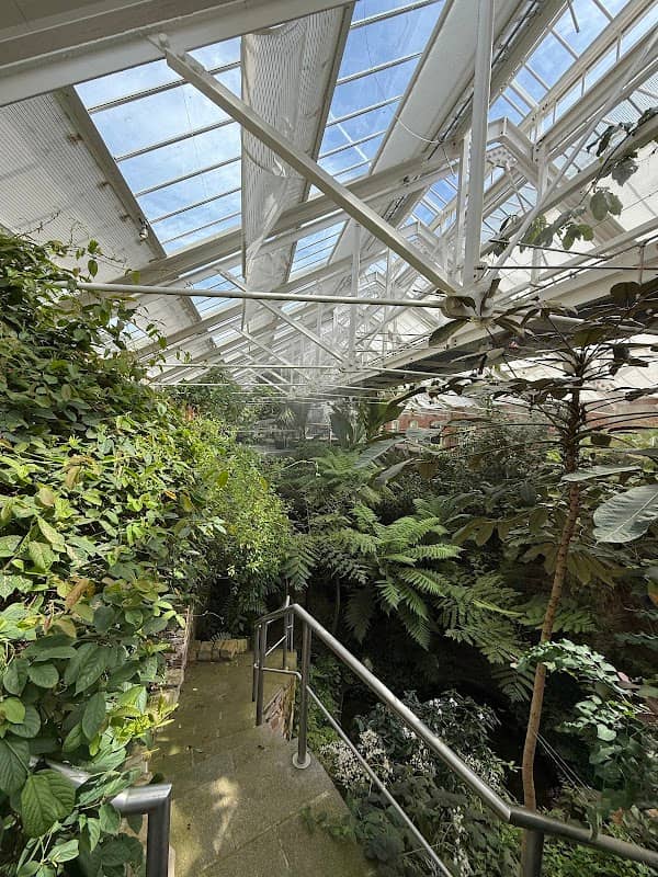 The Palm House - Image 2