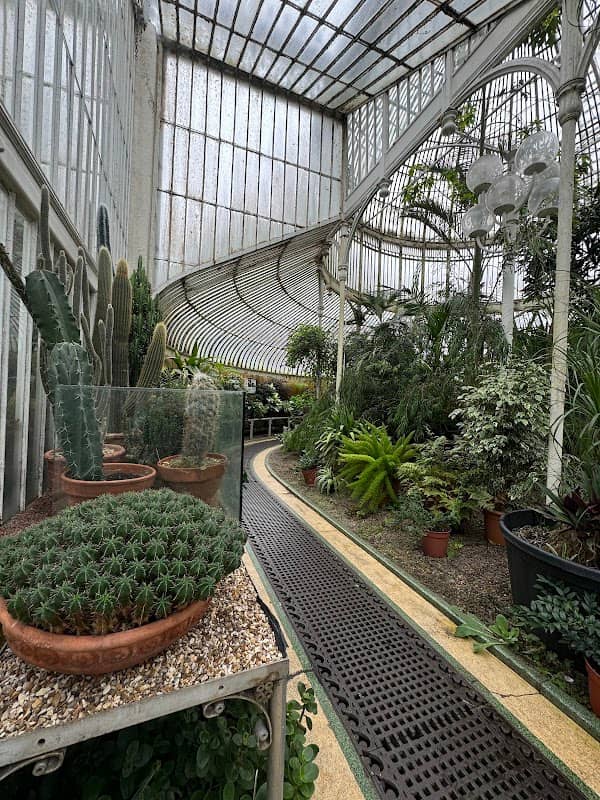 The Palm House - Image 1