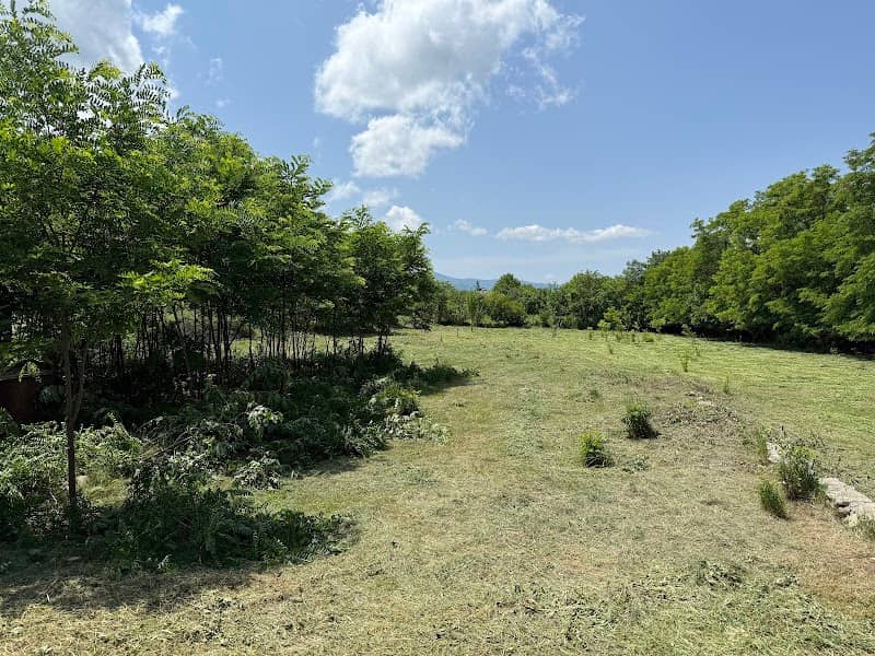 Camp site Telavi - Image 1