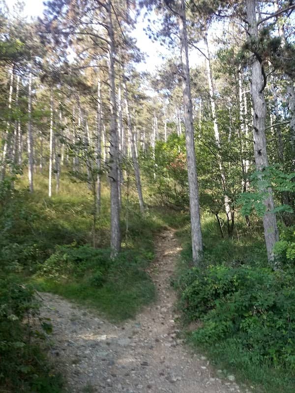 Ingresso Cava di San Valeriano - Image 2