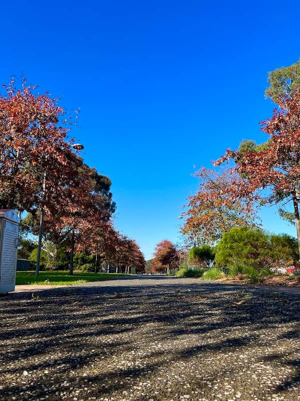 Red Gum Rest - Image 2