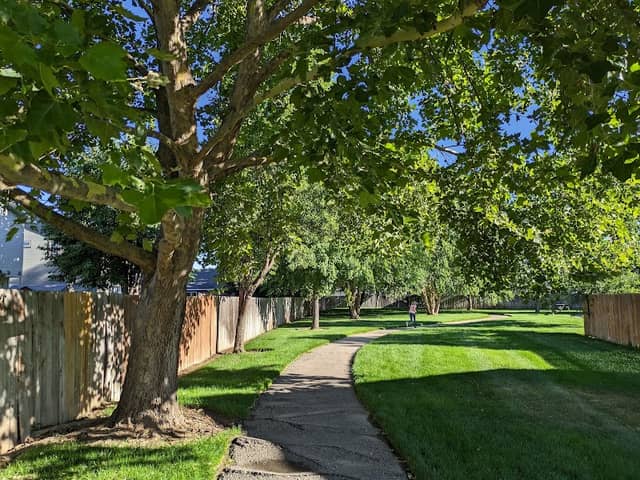 Wood Locke Park - Image 1