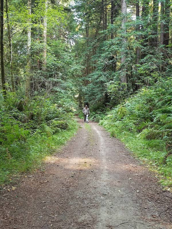 Sonoma Coast State Park — Willow Creek Addition - Image 3