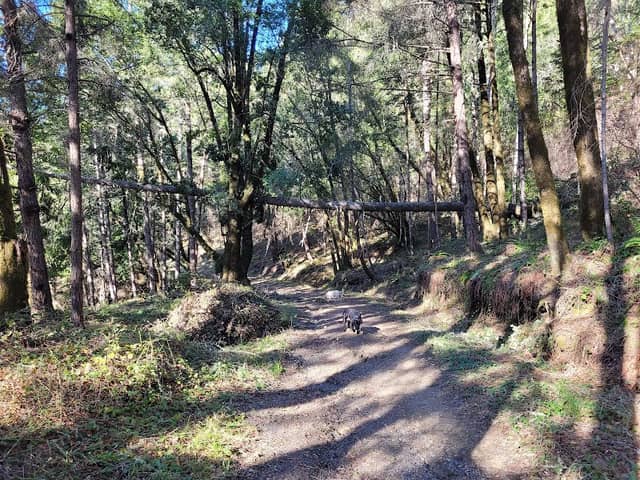 Sonoma Coast State Park — Willow Creek Addition - Image 2
