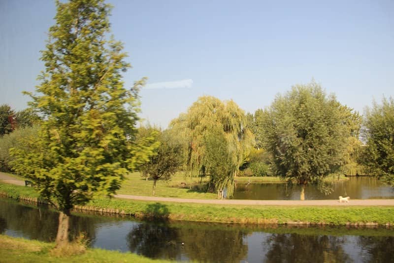 Eendenvijver - Image 1