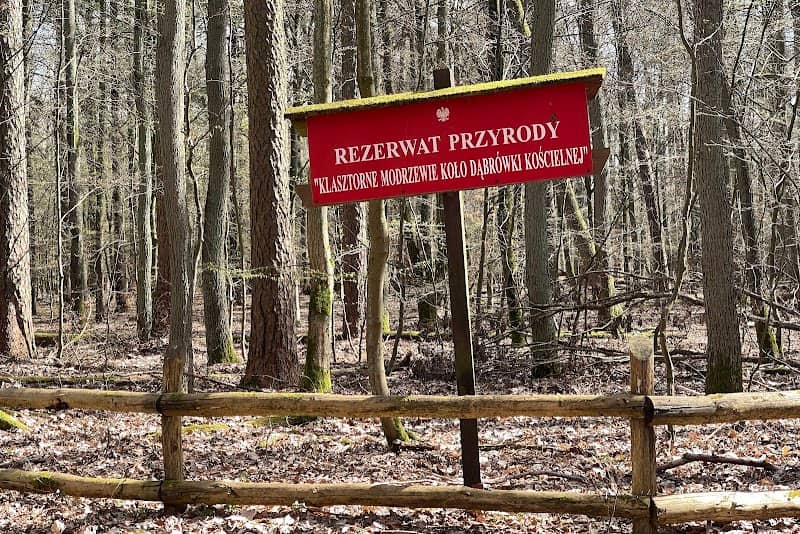Monastery Larchs Nature Reserve - Image 1