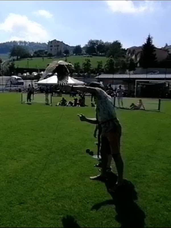 Falconeria Le Poiane - Image 1