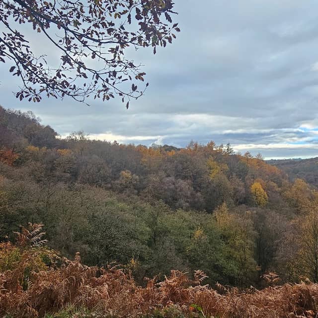 Consall Nature Park - Image 2