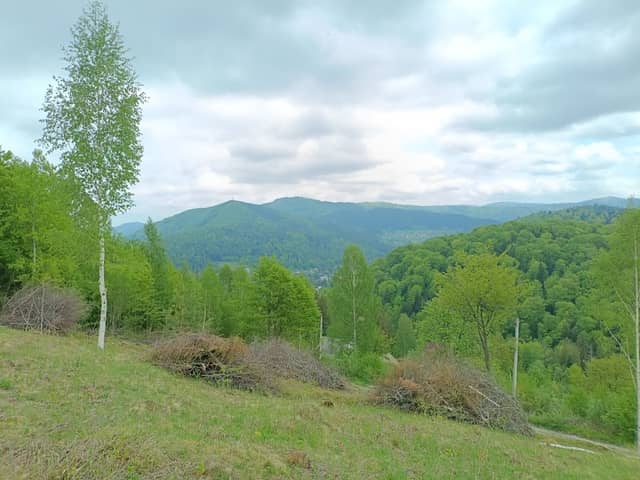 Панорама люкс Яремче - Image 1