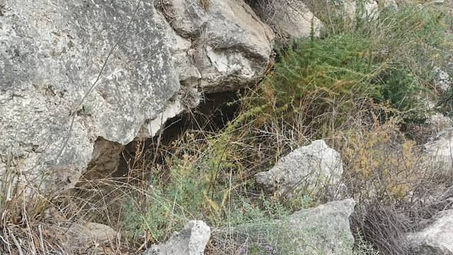 Tombe a grotticella - Image 1