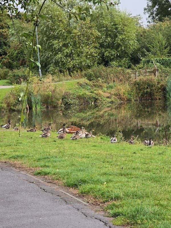 Calladine Park - Image 1