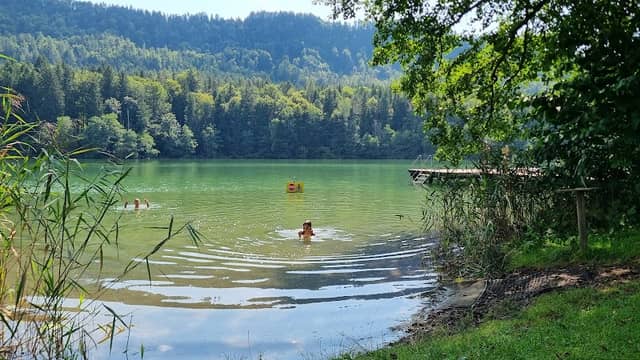 Strandbad Rauschelesee - Image 1