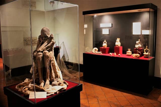 Archeology Museum UNT - Image 2