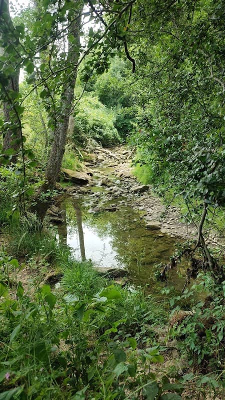 Endinger Wasserfall - Image 2