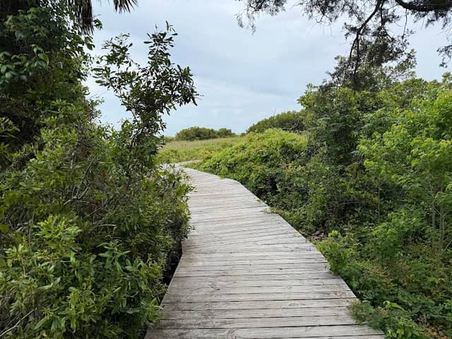 Sullivan's Island Nature Trail - Image 1