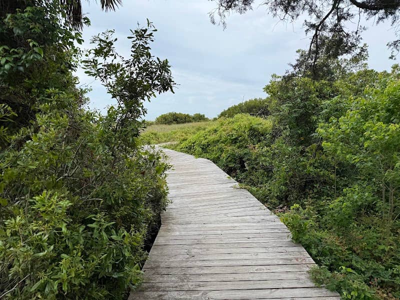 Sullivan's Island Nature Trail - Image 1