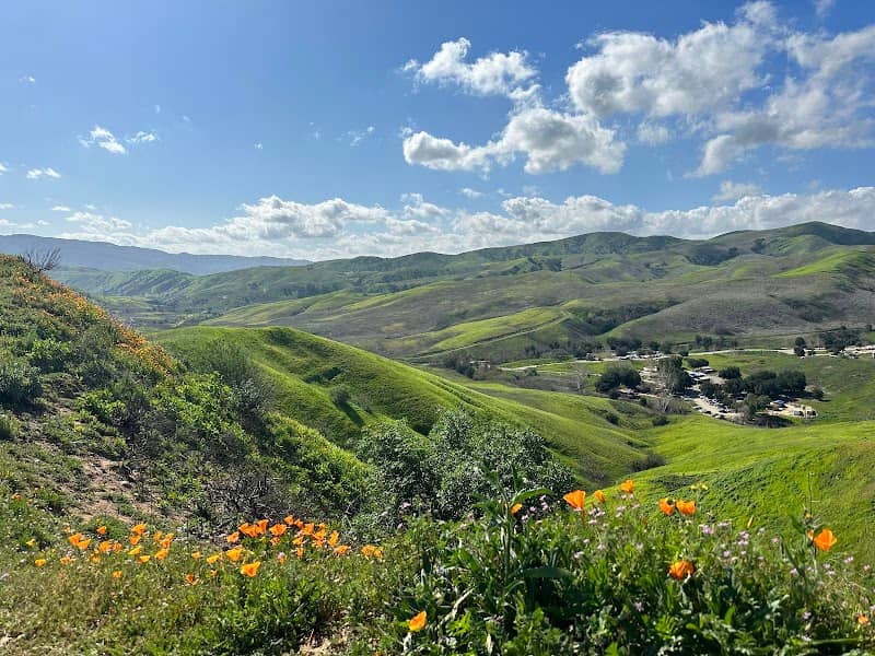 Bane Canyon Road Scenic Overlook - Image 1