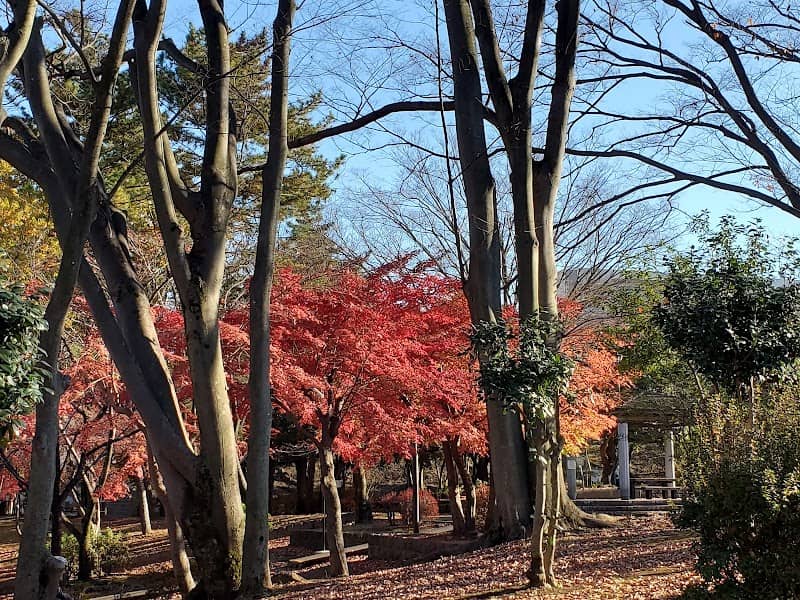 Minamihirao Park - Image 2