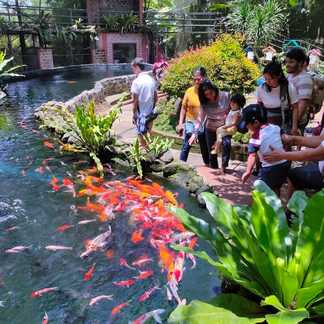 Malagos Bird Feeding Dome - Image 3