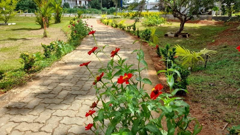 ''කුඹුක් සෙවන''' අමරසිරි දොඩංගොඩ නාගරික උද්යානය - බද්දේගම ප්රාදේශීය සභාව - Image 1