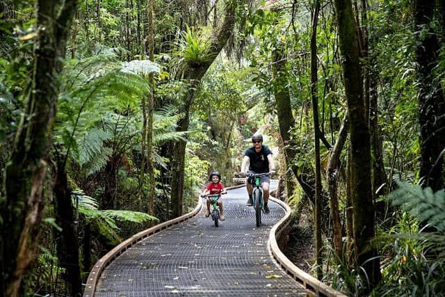 Kawatiri Coastal Trail - Image 3