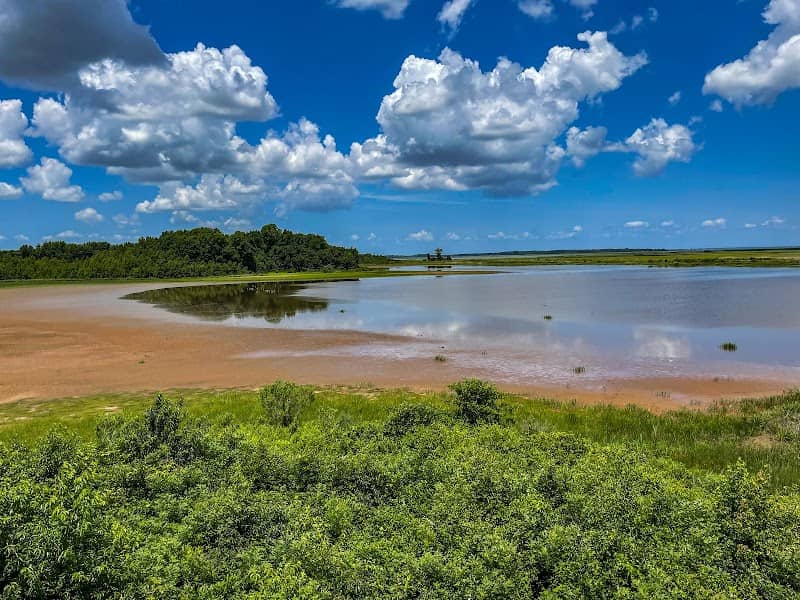 Raymond Observation Tower Trail - Image 1
