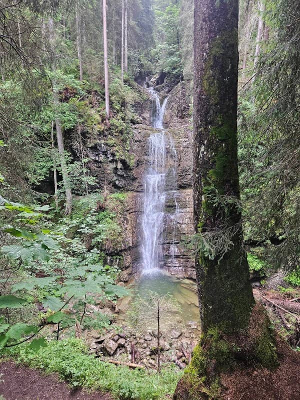 Wasserfall Schwarzwasserbach - Image 1