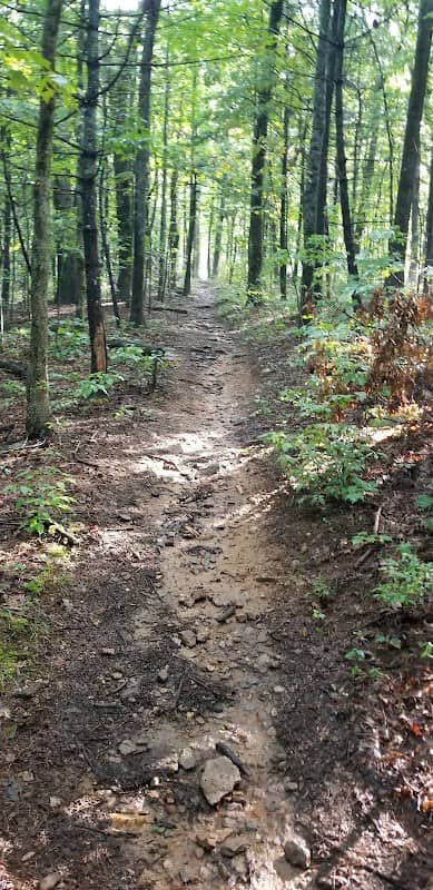 Gooch Gap - Image 1