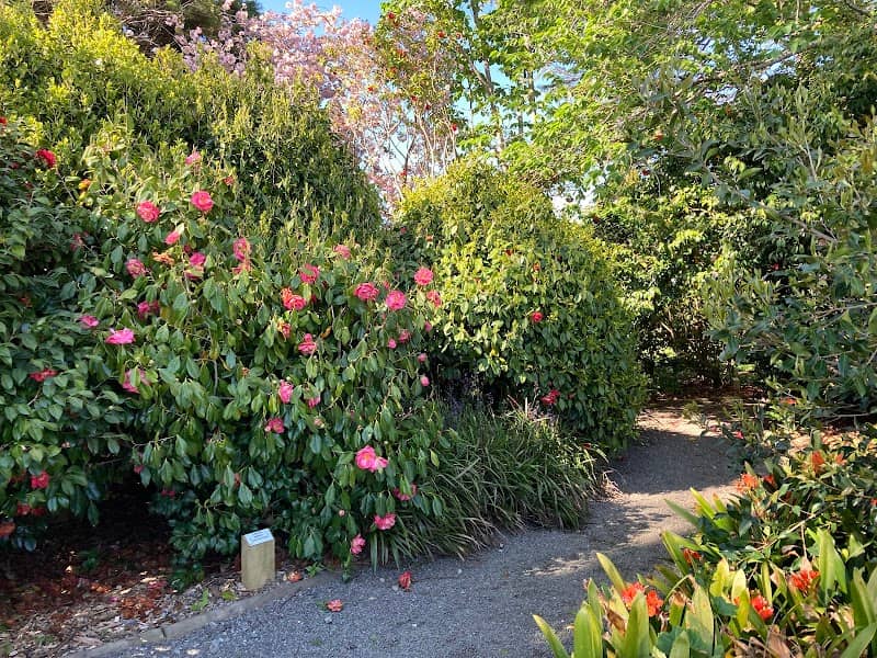 Camellia Loop Walk - Image 2