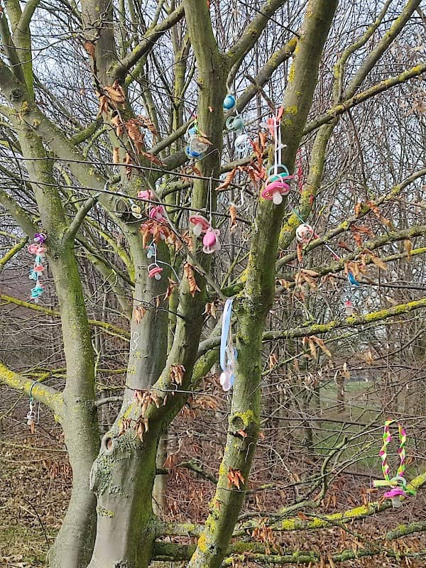 Schnullerbaum - Image 2