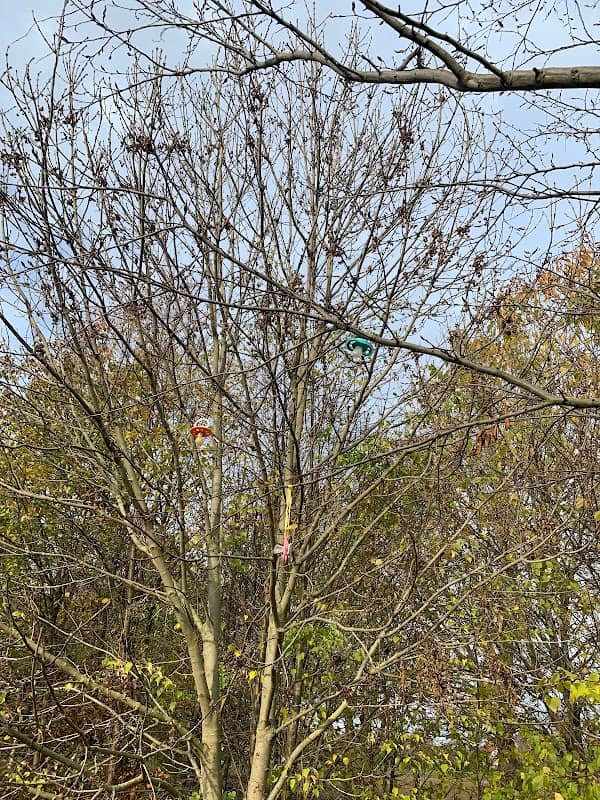 Schnullerbaum - Image 3
