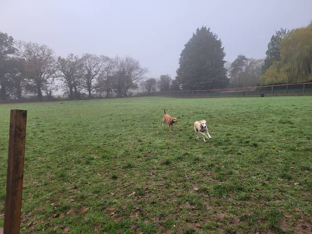 The Acres Brentwood - Image 2