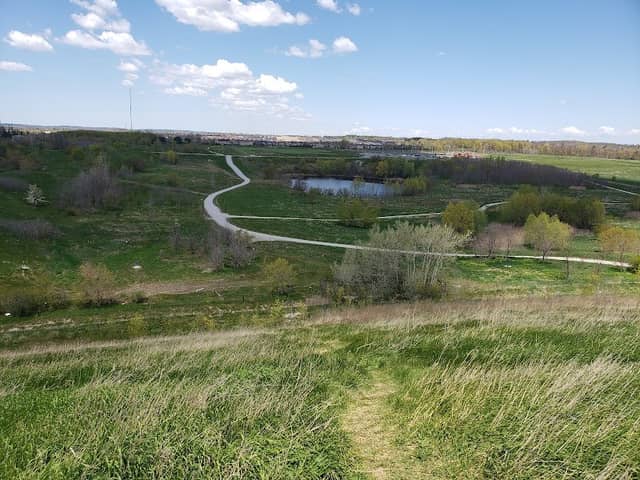 North Maple Regional Park - Image 2