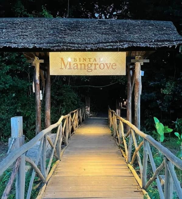 Bintan Fireflies Tour and Mangrove Tour - Image 2