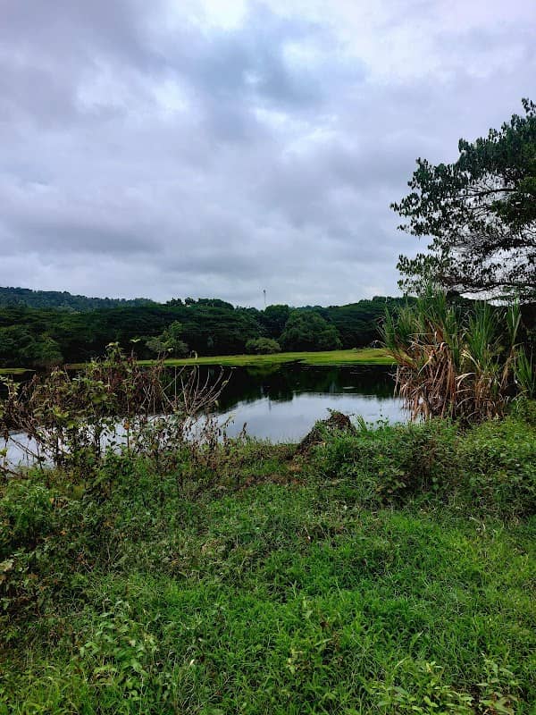 Wetlands view point - Image 1