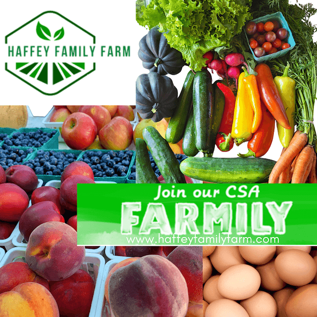 Haffey Family Farm - Image 1