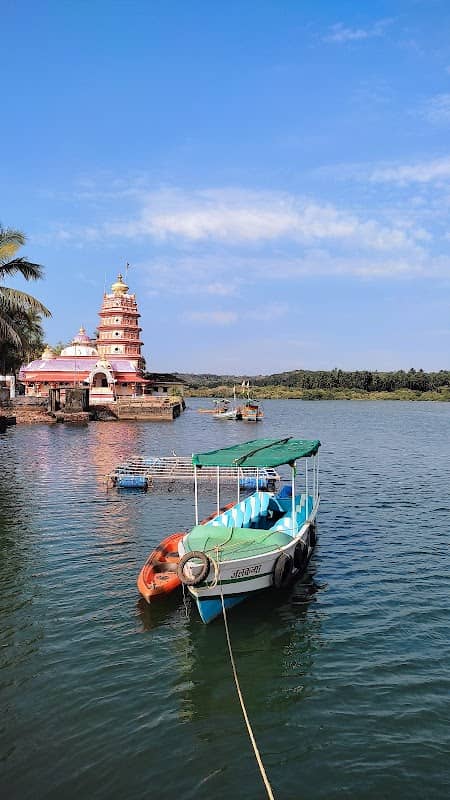 तारामुंबरी कांदळवन सफारी Taramumbari mangrove safari - Image 1