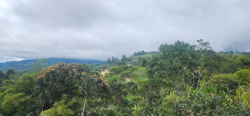 Murrapal - Image 1