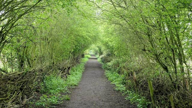 Far Ings National Nature Reserve - Image 2