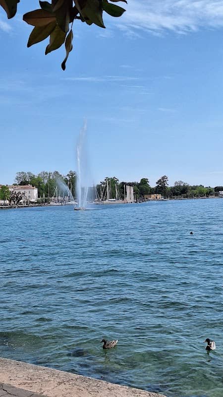 Lungo Lago Regina Adelaide - Image 2