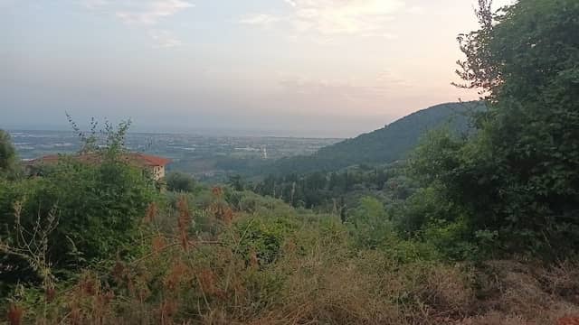 Botrici - Image 1