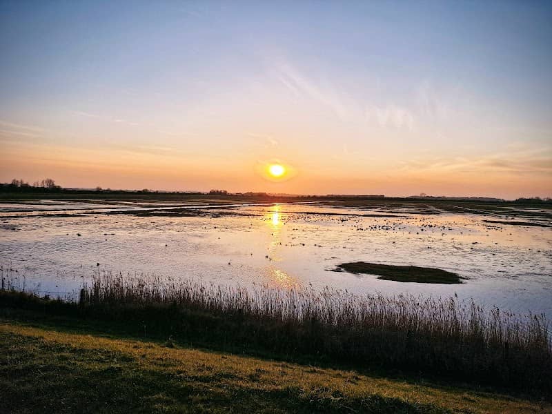 RSPB Freiston Shore - Image 2