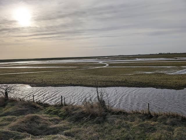 RSPB Freiston Shore - Image 2