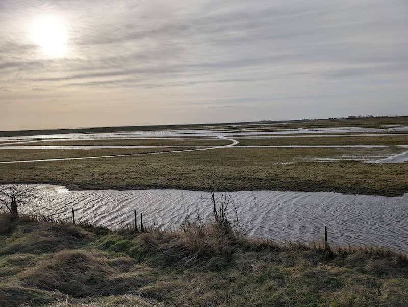 RSPB Freiston Shore - Image 1
