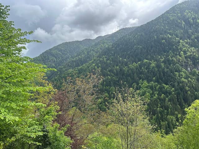 Bel Vedere - Image 1