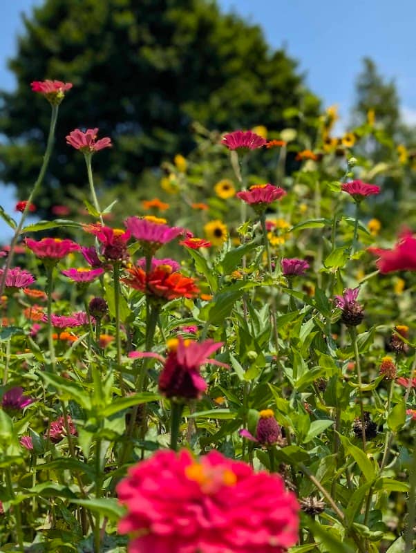 Western Kentucky Botanical Garden - Image 2