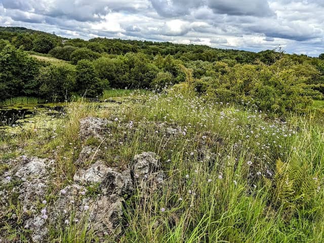 Kirkless West Nature Reserve - Image 1