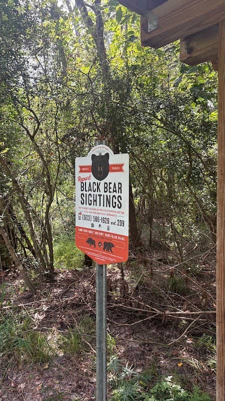 Big Loop Trail - Image 1